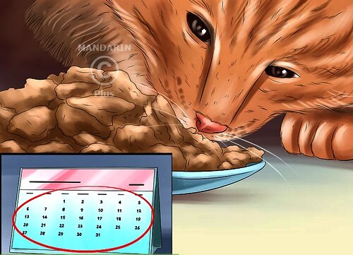 korm-na-probu корм на пробу